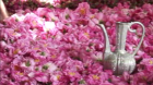 جشن گل محمدی در نیاسر