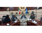 ۶۱امین و هفتمین نشست ۱۴۰۵؛ بررسی هویت کاشی زرین‌فام و یافته‌های فیض‌آباد