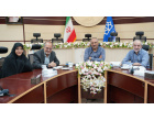 بررسی جایگاه تعزیه و نقش میرعزا در نشست ۶۴ کاشان‌شناسی